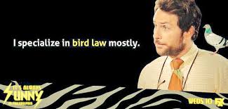 its always sunny